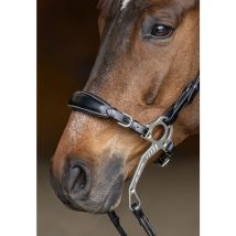 Hfi - Set Muserolle / Gourmette Pour Hackamore Hfi