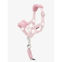 Lemieux - Licol Toy Pony Lemieux Blossom