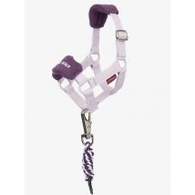 Lemieux - Licol Toy Pony Lemieux Lilas