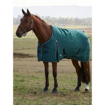 Weatherbeeta - Couverture D'extérieur Comfitec Classic Turnout 600d 220g Weatherbeeta