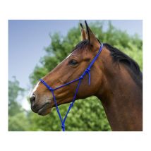 Norton - Licol Éthologique Doux Norton