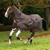 Horseware - Couverture Amigo Bravo 12 Plus 400g Horseware