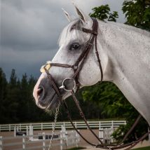 Dy'on - Bridon Muserolle Croisée "Hunter Collection" Dy'on