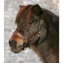 Waldhausen - Star Licol En Cuir Diamond Waldhausen