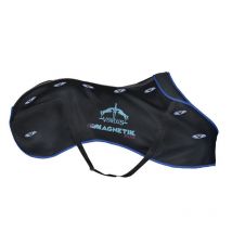 Veredus - Couverture Magnetik Veredus