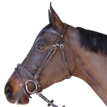 Canter - Bridon Plat Doublé Canter