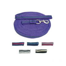 France Cheval - Longe À Tourner Violet / Vert