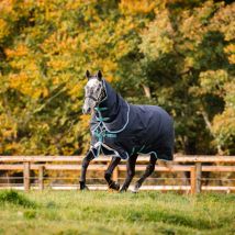 Horseware - Couverture Amigo Bravo 12 Plus 250g Horseware