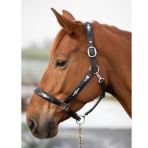 Hfi - Licol Polo Halter Hfi