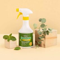 Ravene - Emouchine Protec 500ml Ravene