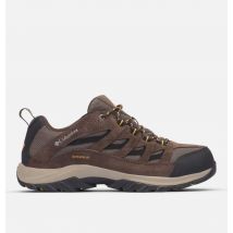 Columbia - Chaussure de Marche Imperméable Crestwood II - Mud Squash Taille 40 EU - Homme
