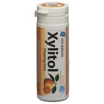 Miradent Xylitol Kaugummi Frucht