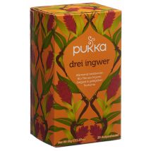 Pukka Drei Ingwer Tee Bio