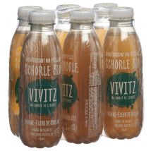VIVITZ Bio Schorle Apfel Holunderblüte