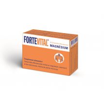Fortevital Magnesium Brausetablette