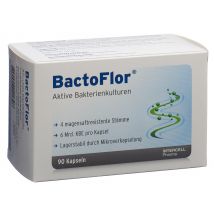 Bactoflor Kapsel