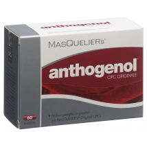 Masquelier's Anthogenol Kapsel mit OPC