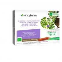 Arkofluide Artischocke schwarzer Rettich Rosmarin Engelwurz Bio