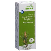 HEIDAK Knospe Bergkiefer Pinus montana Glyc Maz