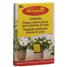 Aeroxon Gelbfalle für Topfpflanzen