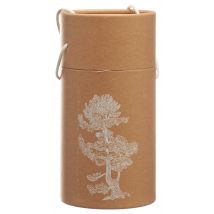 BERG&KRAFT Pinus Cembra Duftholz Globe inklusiv ätherisches Öl & Späne