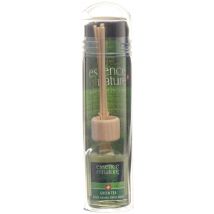 Essence of Nature Classic Room Aroma Sticks Green Tea