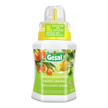 Gesal Zitruspflanzendünger