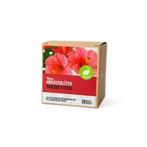 Dixa Karkade Hibiskusblüten BIO geschnitten PhEur Pyramiden Beutel M Box braun