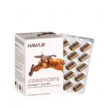 Hawlik Cordyceps Extrakt + Pulver Kapsel