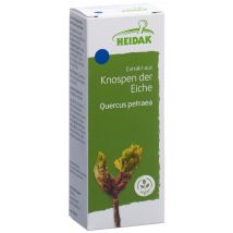 HEIDAK Knospe Eiche Quercus petraea Glyc Maz
