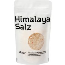 VitaSal Kristallsalz Himalaya grob PE