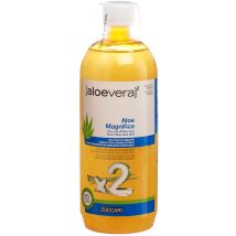 ZUCCARI Aloe Magnifica