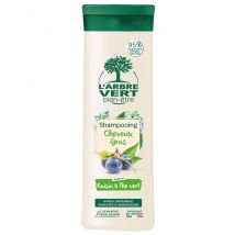 L'ARBRE VERT Öko Shampoo fettiges Haar