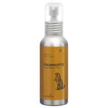 puralpina Marmotte Massageöl