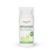 kingnature Artemisia Hydro Gel