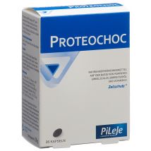 PROTEOCHOC Kapsel