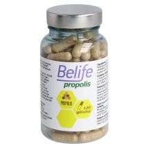 Belife Propolis gélules