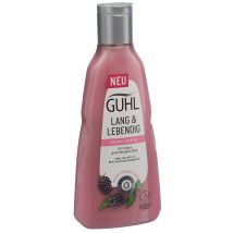 GUHL Lang & Lebendig Shampoo aufbauend