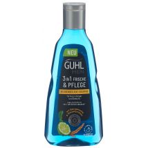 GUHL Men 3in1 Shampoo Frische & Pflege