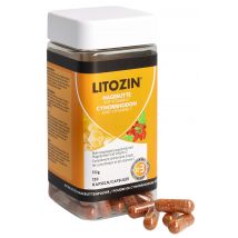 Litozin Hagebuttenpulver Kapsel (neu)