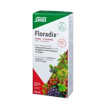 Salus Floradix Eisen + Vitamine Profit Pack