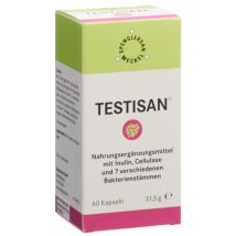 Spenglersan Testisan caps