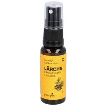 puralpina Raumduft Lärche