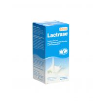 Lactrase Tablette 6000 IE