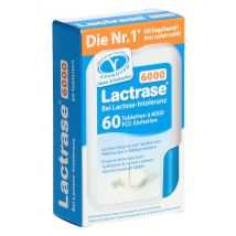 Lactrase Tablette 6000 IE