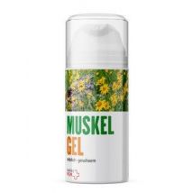 swiss MSM Muskel Gel