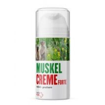 swiss MSM Muskel Creme Forte