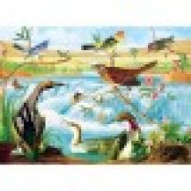 Audubon - Harmony of Birds & Stream