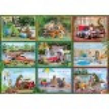 Squirrels on Vacation