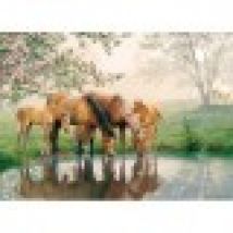 XXL Pieces - Horse Family